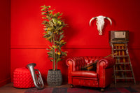 Neverleafs Ficus Deluxe kunstplant 180 cm