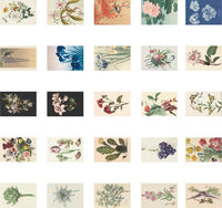 Inhoud Postkaartenbox