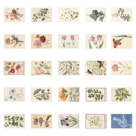 Inhoud Postkaartenbox 2