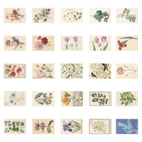 Inhoud Postkaartenbox 2