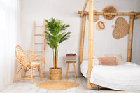 Künstliche Kentia-Palme von NeverLeafs, 170 cm – Tropisches Design für den Innenbereich