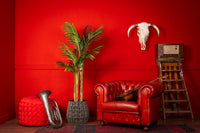 Künstliche Kentia-Palme von NeverLeafs, 170 cm – Tropisches Design für den Innenbereich