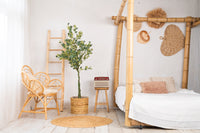 NeverLeafs Kunstplant geldboom 160 cm