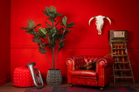 Künstliche Monstera von NeverLeafs, 180 cm – Tropisches Südamerika