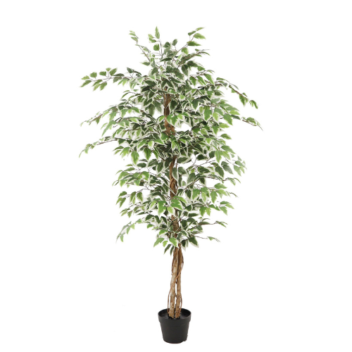 NeverLeafs Kunstplant Ficus groen 160cm