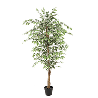 NeverLeafs Kunstplant Ficus groen 160cm
