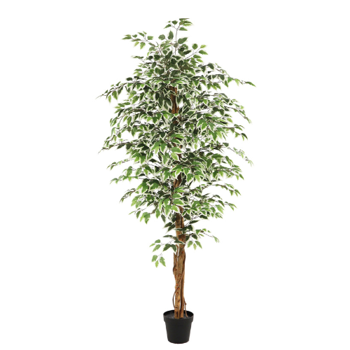 NeverLeafs Kunstplant Ficus groen 180cm