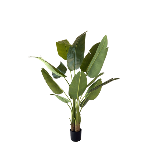 NeverLeafs Kunstplant Strelitzia 150 cm met real touch