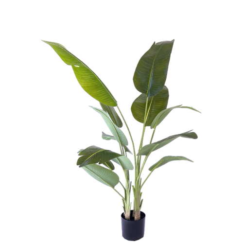 NeverLeafs Kunstplant Strelitzia 200 cm real touch
