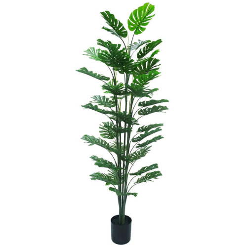 NeverLeafs Monstera kunstplant 180 cm - Tropisch Zuid-Amerika