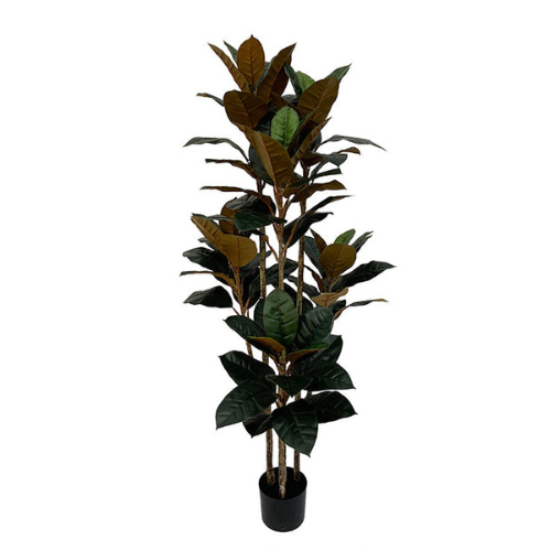NeverLeafs Rubberboom kunstplant 160 cm - Ficus elastica met 3 stammen