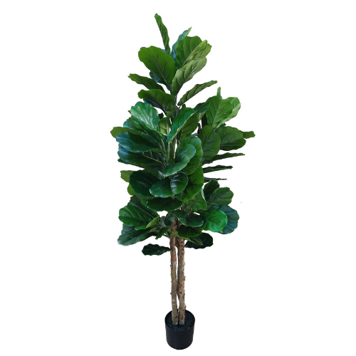 NeverLeafs Vioolbladplant kunstplant 160 cm - Stijlvolle vioolbladplant
