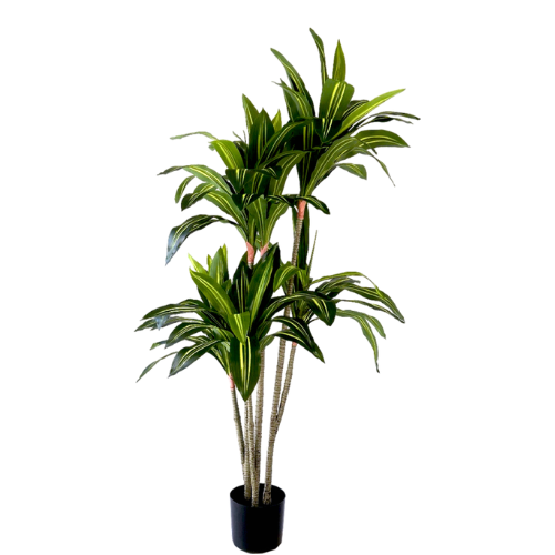 Neverleafs Kunstplant Dracaena Fragnans 150cm