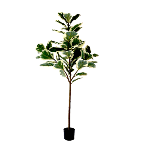 Neverleafs Kunstplant Ficus Lyrata Deluxe 160cm