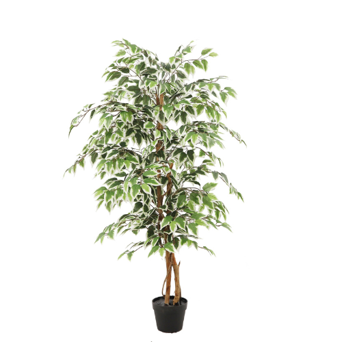 Neverleafs Kunstplant Ficus groen 140cm