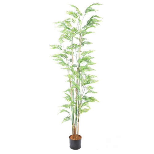 Neverleafs Kunstplant varen 180cm