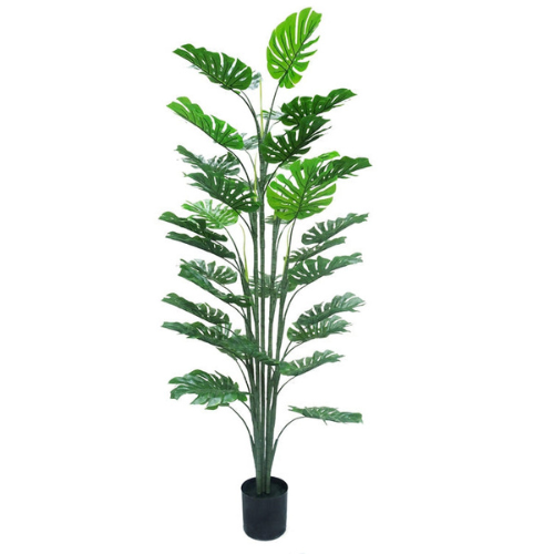 Neverleafs Monstera kunstplant 160 cm – Tropisch Zuid-Amerika