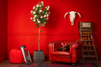 NeverLeafs Rozen kunstboom 180 cm