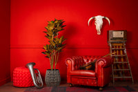 NeverLeafs Rubberboom kunstplant 160 cm - Ficus elastica met 3 stammen