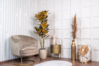 NeverLeafs Rubberboom kunstplant 160 cm - Ficus elastica met 3 stammen