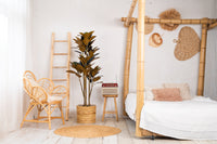 NeverLeafs Rubberboom kunstplant 160 cm - Ficus elastica met 3 stammen