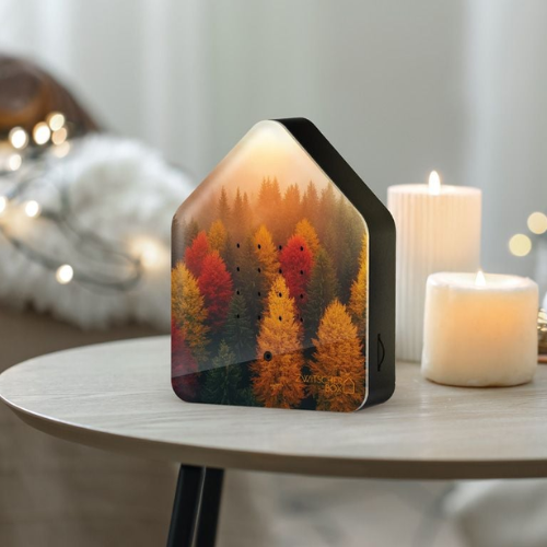 Relaxound Zwitscherbox met vogelgeluiden Golden Leaves sfeer