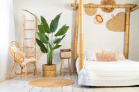 Künstliche Strelitzie von NeverLeafs, 150 cm, mit realistischer Haptik