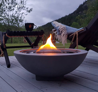 Tenderflame Tischkamin Iris