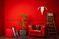 Neverleafs Kunstplant varen 130cm