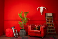 Neverleafs Tropische Areca palm kunstplant 160 cm