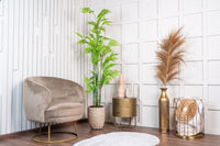 Neverleafs Kunstplant varen 180cm