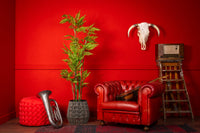 Neverleafs Kunstplant varen 180cm