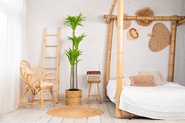 NeverLeafs Kunstplant Yucca 170 cm - Robuuste uitstraling
 sfeerafbeelding