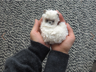 Bitten handwarmer Lama Pocket Pal 