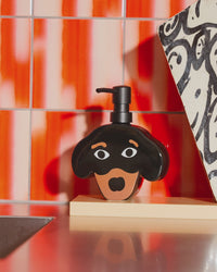 Video Fluid Market zeeppomp teckel