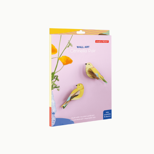 Studio Roof wanddecoratie Citrinella Pair verpakking