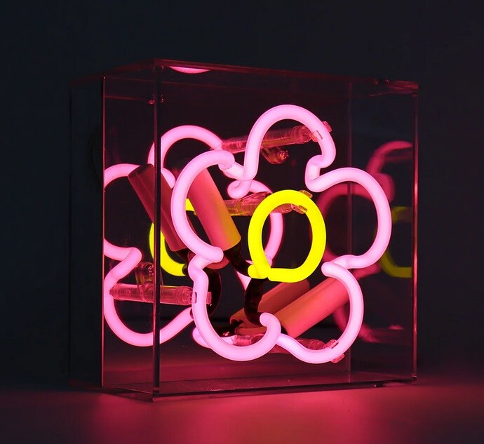 Locomocean Daisy mini neon sign acrylic box